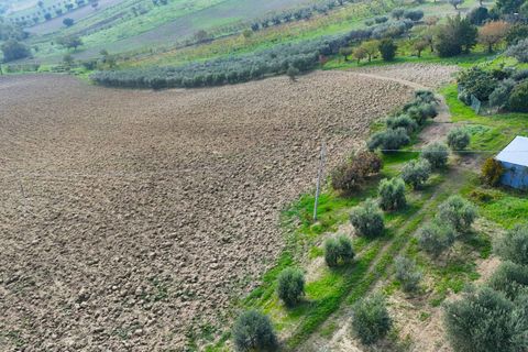 Helårsgrund i Monteprandone, Ascoli Piceno, Monteprandone - € 75.000 | Ref: 33154 - foto 9