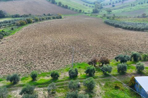 Helårsgrund i Monteprandone, Ascoli Piceno, Monteprandone - € 75.000 | Ref: 33154 - foto 10