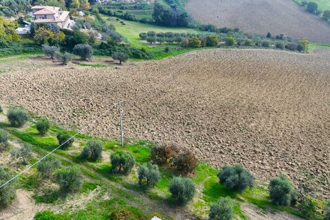 Helårsgrund i Monteprandone, Ascoli Piceno, Monteprandone - € 75.000 | Ref: 33154 - foto 11