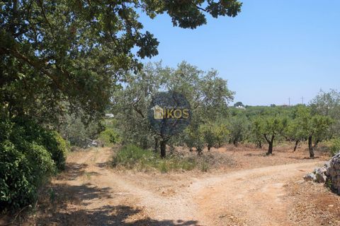 Helårsgrund i Monopoli, Bari, Monopoli - € 46.000 | Ref: 0039bis - foto 2