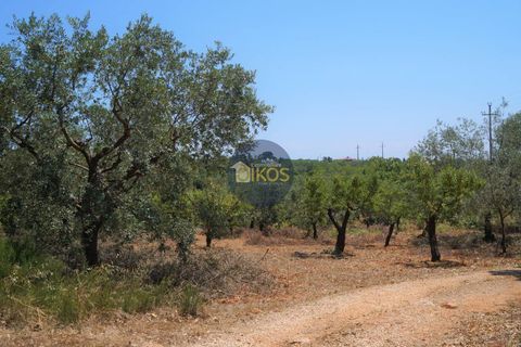 Helårsgrund i Monopoli, Bari, Monopoli - € 46.000 | Ref: 0039bis - foto 5