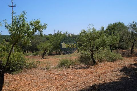 Helårsgrund i Monopoli, Bari, Monopoli - € 46.000 | Ref: 0039bis - foto 6