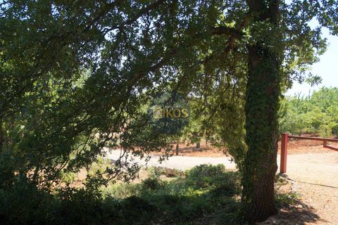 Helårsgrund i Monopoli, Bari, Monopoli - € 46.000 | Ref: 0039bis - foto 9