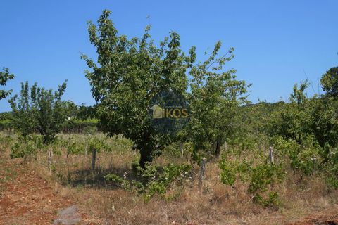 Helårsgrund i Monopoli, Bari, Monopoli - € 46.000 | Ref: 0039bis - foto 17