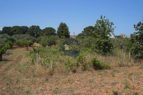 Helårsgrund i Monopoli, Bari, Monopoli - € 46.000 | Ref: 0039bis - foto 20