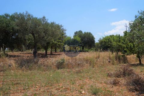 Helårsgrund i Monopoli, Bari, Monopoli - € 46.000 | Ref: 0039bis - foto 22