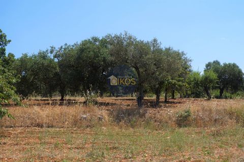 Helårsgrund i Monopoli, Bari, Monopoli - € 46.000 | Ref: 0039bis - foto 23