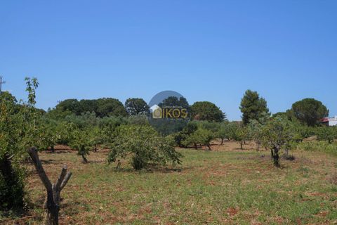 Helårsgrund i Monopoli, Bari, Monopoli - € 46.000 | Ref: 0039bis - foto 24