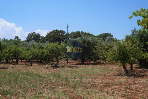 Helårsgrund i Monopoli, Bari, Monopoli - € 46.000 | Ref: 0039bis - foto 26