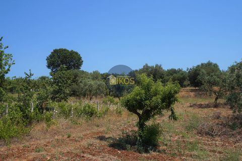 Helårsgrund i Monopoli, Bari, Monopoli - € 46.000 | Ref: 0039bis - foto 27