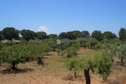 Helårsgrund i Monopoli, Bari, Monopoli - € 46.000 | Ref: 0039bis - foto 28