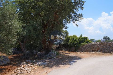 Helårsgrund i Monopoli, Bari, Monopoli - € 46.000 | Ref: 0039bis - foto 33