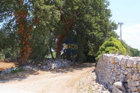 Helårsgrund i Monopoli, Bari, Monopoli - € 46.000 | Ref: 0039bis - foto 34