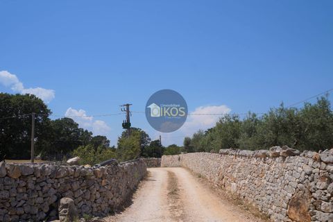 Helårsgrund i Monopoli, Bari, Monopoli - € 46.000 | Ref: 0039bis - foto 36