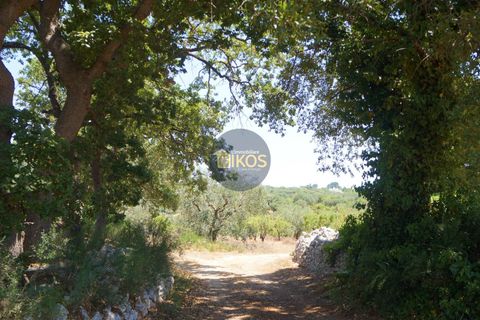 Helårsgrund i Monopoli, Bari, Monopoli - € 46.000 | Ref: 0039bis - foto 40