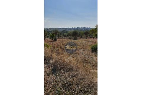 Helårsgrund i Monopoli, Bari, Monopoli - € 26.000 | Ref: 0048 - foto 4
