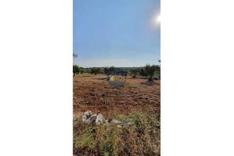 Helårsgrund i Monopoli, Bari, Monopoli - € 26.000 | Ref: 0048 - foto 5