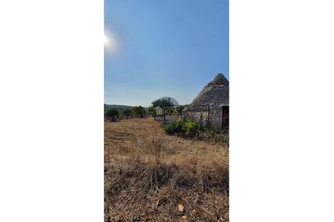 Helårsgrund i Monopoli, Bari, Monopoli - € 26.000 | Ref: 0048 - foto 7