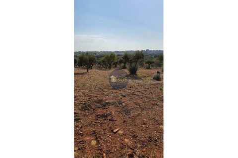 Helårsgrund i Monopoli, Bari, Monopoli - € 26.000 | Ref: 0048 - foto 10
