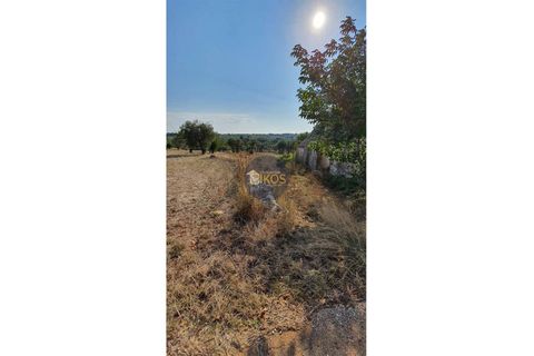 Helårsgrund i Monopoli, Bari, Monopoli - € 26.000 | Ref: 0048 - foto 11