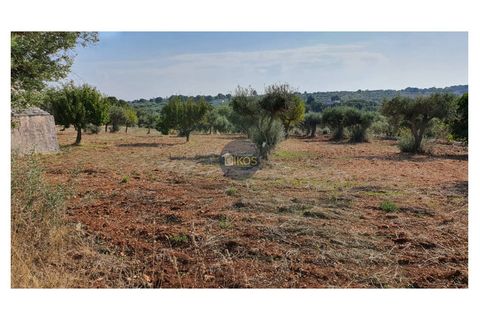 Helårsgrund i Monopoli, Bari, Monopoli - € 26.000 | Ref: 0048 - foto 13