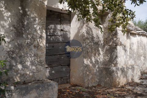 Landejendom i Alberobello, Bari, Alberobello - € 86.000 | Ref: 0075 - foto 4