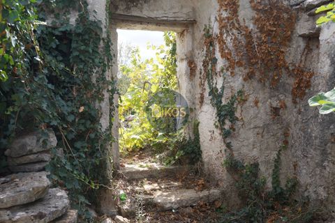 Landejendom i Alberobello, Bari, Alberobello - € 86.000 | Ref: 0075 - foto 36
