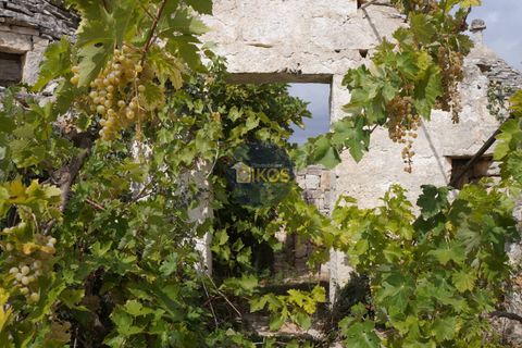Landejendom i Alberobello, Bari, Alberobello - € 86.000 | Ref: 0075 - foto 39