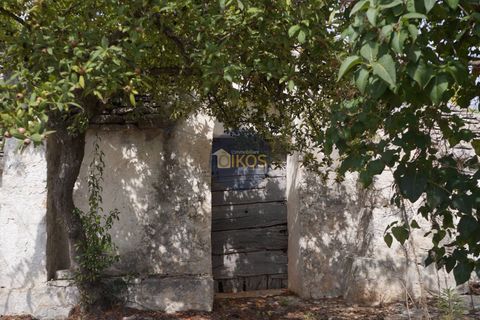 Landejendom i Alberobello, Bari, Alberobello - € 86.000 | Ref: 0075 - foto 44