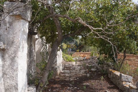 Landejendom i Alberobello, Bari, Alberobello - € 86.000 | Ref: 0075 - foto 47