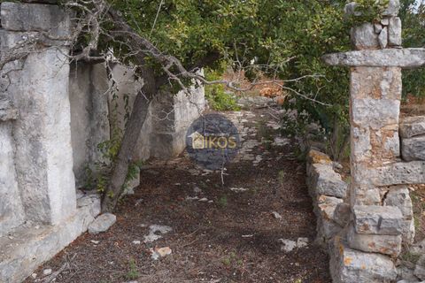 Landejendom i Alberobello, Bari, Alberobello - € 86.000 | Ref: 0075 - foto 48