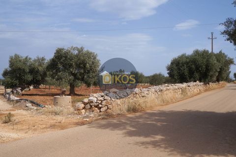 Terra a Polignano a Mare, Bari, Polignano a Mare - € 135.000 | Ref: 131 - foto 4