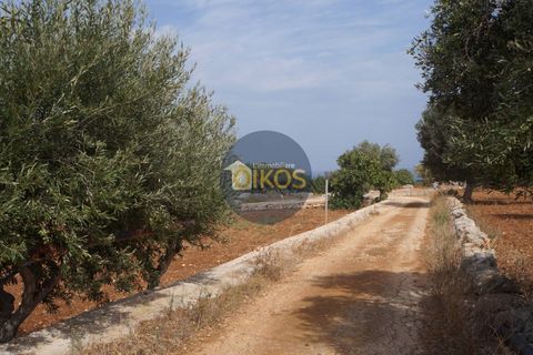 Terra a Polignano a Mare, Bari, Polignano a Mare - € 135.000 | Ref: 131 - foto 2
