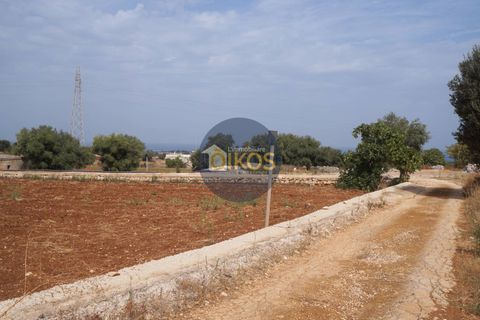 Terra a Polignano a Mare, Bari, Polignano a Mare - € 135.000 | Ref: 131 - foto 5
