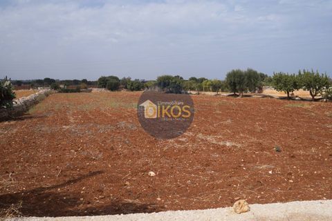 Terra a Polignano a Mare, Bari, Polignano a Mare - € 135.000 | Ref: 131 - foto 6