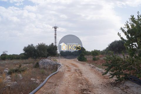 Terra a Polignano a Mare, Bari, Polignano a Mare - € 135.000 | Ref: 131 - foto 7