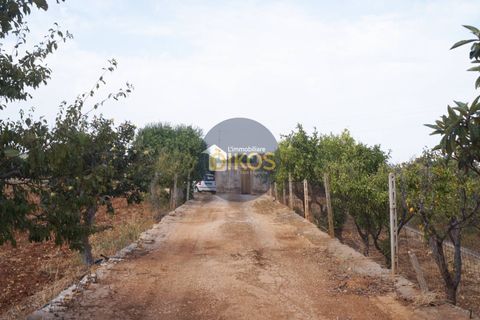 Terra a Polignano a Mare, Bari, Polignano a Mare - € 135.000 | Ref: 131 - foto 8