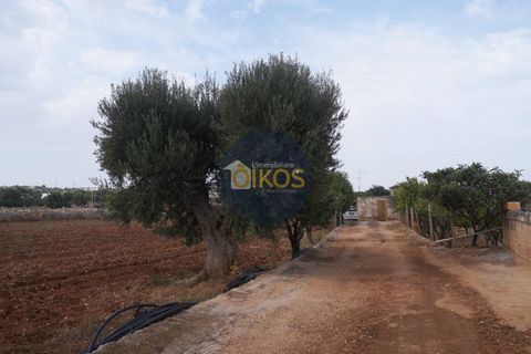 Terra a Polignano a Mare, Bari, Polignano a Mare - € 135.000 | Ref: 131 - foto 9