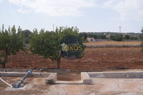 Terra a Polignano a Mare, Bari, Polignano a Mare - € 135.000 | Ref: 131 - foto 12