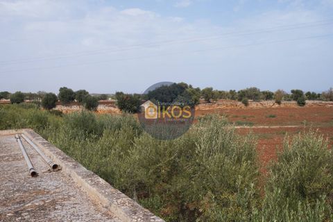 Terra a Polignano a Mare, Bari, Polignano a Mare - € 135.000 | Ref: 131 - foto 13