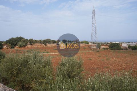 Terra a Polignano a Mare, Bari, Polignano a Mare - € 135.000 | Ref: 131 - foto 14