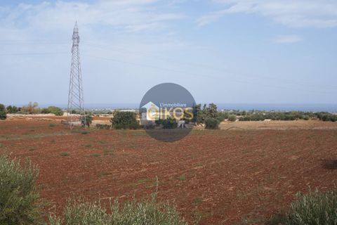 Terra a Polignano a Mare, Bari, Polignano a Mare - € 135.000 | Ref: 131 - foto 15