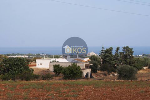 Terra a Polignano a Mare, Bari, Polignano a Mare - € 135.000 | Ref: 131 - foto 16