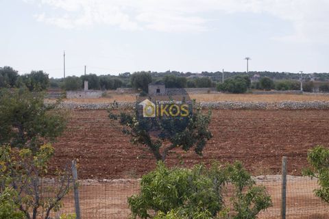 Terra a Polignano a Mare, Bari, Polignano a Mare - € 135.000 | Ref: 131 - foto 18