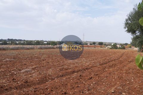 Terra a Polignano a Mare, Bari, Polignano a Mare - € 135.000 | Ref: 131 - foto 21