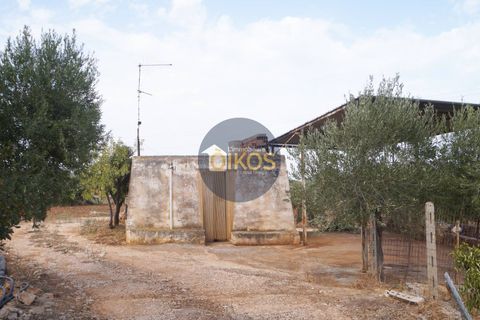 Terra a Polignano a Mare, Bari, Polignano a Mare - € 135.000 | Ref: 131 - foto 22