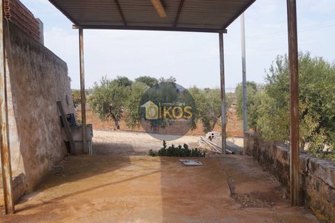 Terra a Polignano a Mare, Bari, Polignano a Mare - € 135.000 | Ref: 131 - foto 24