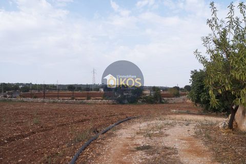 Terra a Polignano a Mare, Bari, Polignano a Mare - € 135.000 | Ref: 131 - foto 25