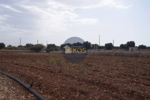 Terra a Polignano a Mare, Bari, Polignano a Mare - € 135.000 | Ref: 131 - foto 26