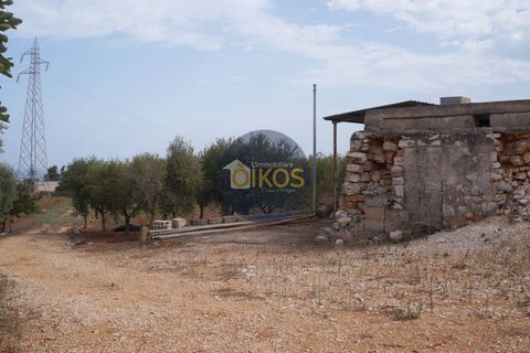 Terra a Polignano a Mare, Bari, Polignano a Mare - € 135.000 | Ref: 131 - foto 27